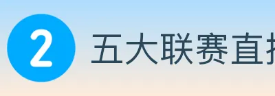 五大联赛直播 logo